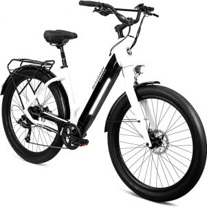 Schwinn Coston DX